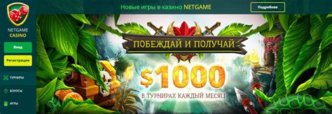 Казино Нэтгейм (NetGame)  честный обзор интернет казино